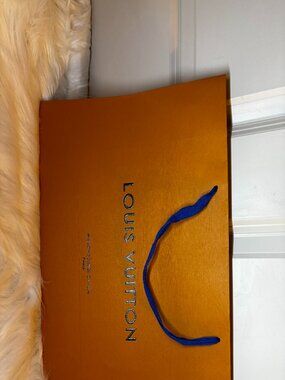 LV & YSL Dust Bags and LV Bag